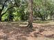 Scenic view of the wooded property featuring mature trees, and leaf-covered ground at 63 Lake Wood Cir, Ocala, FL 34482