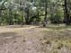 Scenic view of the property with mature trees, lush greenery, and a rustic wooden fence at 63 Lake Wood Cir, Ocala, FL 34482