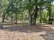 View of the leafy property featuring mature trees, leaf-covered ground, and a wooden fence at 63 Lake Wood Cir, Ocala, FL 34482