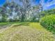 Spacious backyard featuring lush greenery and mature trees, offering ample space for outdoor activities and relaxation at 91 High St, Winter Haven, FL 33880