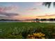 Expansive backyard with a lush lawn, colorful flowers, and a tranquil lake view at sunset at 4318 Waterfront Pkwy, Orlando, FL 32806
