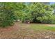 Secluded backyard featuring mature trees and a playhouse, nestled amongst green foliage at 1066 Swanson Dr, Deltona, FL 32738