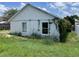 Home backyard featuring an overgrown lawn, a concrete block wall, and two windows covered in weeds and vines at 1809 Elm Ridge Ct, Orlando, FL 32808