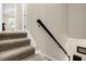 Carpeted staircase with dark wood railing detail at 2261 Brookridge Trl, Sanford, FL 32773