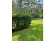 Green backyard view featuring a pristine white fence and a variety of trees at 454 Wilton Cir, Sanford, FL 32773