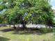 Shady front yard showcasing green foliage at 1021 Golfside Ct, Kissimmee, FL 34741