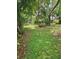 Spacious backyard with ample shade, lush ground cover and a wood fence for privacy at 1524 Crawford Dr, Apopka, FL 32703