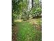 Expansive backyard featuring mature trees and lush greenery, perfect for outdoor activities and relaxation at 1524 Crawford Dr, Apopka, FL 32703