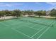 Well-maintained community tennis courts, perfect for recreational play in a scenic and active neighborhood setting at 748 Duff Dr, Winter Garden, FL 34787