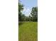 Open yard with a wooden archway at 32645 Red Oak Dr, Eustis, FL 32736