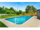 Backyard featuring a refreshing swimming pool, lush greenery, and well-maintained landscaping under a clear blue sky at 5938 Marlberry Dr, Orlando, FL 32819