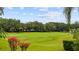 Scenic view of the lush green golf course, framed by trees, and beautiful landscaping at 6138 Greatwater Dr, Windermere, FL 34786
