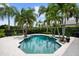 Backyard features a private pool surrounded by lush landscaping, palm trees, and a spacious patio area at 6138 Greatwater Dr, Windermere, FL 34786