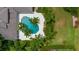 Aerial view of a private pool surrounded by lush landscaping and palm trees, creating a tropical oasis at 6138 Greatwater Dr, Windermere, FL 34786