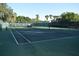 Community tennis court in green with black net and perimeter fencing surrounded by lush trees at 910 Amy Ridge Ct, Kissimmee, FL 34747