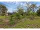 Lush backyard with various plantings and greenery, creating a private retreat with natural beauty and tranquility at 2630 S Tanner Rd, Orlando, FL 32820