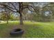 A spacious backyard with a lawn, trees, and a tire swing at 2630 S Tanner Rd, Orlando, FL 32820