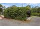 A carport surrounded by foliage at 2630 S Tanner Rd, Orlando, FL 32820
