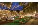 Nighttime park with a fountain, landscaped pathways, and overhead string lights at 410 Winter Bliss Ln, Mount Dora, FL 32757