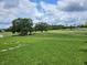 Scenic view of the lush green golf course and beautiful trees under a bright, cloudy sky at 438 Janice Kay Pl, Kissimmee, FL 34744