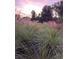 Lush landscaping featuring ornamental grasses, providing a tranquil and picturesque setting during sunset at 610 Cypress Ave, Orange City, FL 32763