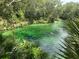 Picturesque emerald river with lush vegetation, perfect for swimming and enjoying the beauty of nature at 610 Cypress Ave, Orange City, FL 32763