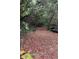 Natural walking trail surrounded by trees, offering a serene and private escape into nature at 610 Cypress Ave, Orange City, FL 32763