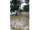 Large grassy yard area offering ample space for outdoor activities and potential landscaping projects at 610 Cypress Ave, Orange City, FL 32763