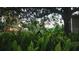 Lush fern-filled yard with a tire swing hanging from a tree at 610 Cypress Ave, Orange City, FL 32763