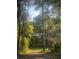 Lush green property views showcase a natural landscape featuring walking paths and abundant foliage at 15888 Ne 152Nd Ave, Fort Mc Coy, FL 32134