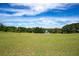 Large expanse of grassy land with trees and foliage with blue skies and clouds overhead at 17927 E Apshawa Rd, Minneola, FL 34715