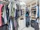 Custom walk-in closet features rods, shelving, and drawers for optimized wardrobe storage at 31980 Geoff Way, Sorrento, FL 32776