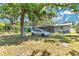 A view of the backyard and a peek at the house behind a tree at 606 Washington St, Daytona Beach, FL 32114