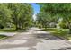 Tree lined street with mature trees and well-kept landscaping at 617 Worthington Dr, Winter Park, FL 32789