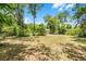 Spacious backyard with mature trees, perfect for outdoor activities and enjoying nature at 710 N Sparkman Ave, Orange City, FL 32763