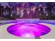 Screened-in pool and hot tub with water features and colorful lighting create a relaxing outdoor space at 1224 Hillcrest View Loop, Apopka, FL 32703