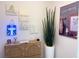 A contemporary interior with a decorative cabinet, stylish decor, and a tall potted plant adding a touch of nature at 1588 Sky Lakes Dr, St Cloud, FL 34769