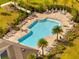 Aerial view of community pool area with palm trees, lounge chairs, and tables at 172 S Zuni Rd, St Cloud, FL 34771