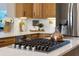 Bright kitchen features stainless steel appliances, center island with cooktop, and wood cabinetry at 174 Promenade Cir, Lake Mary, FL 32746