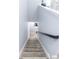 Carpeted staircase with railing leading to the upper level of the home at 4733 Cliveden Loop, Sanford, FL 32773