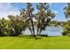 Expansive green backyard with mature trees and a serene lake backdrop at 8542 Eden Park Rd, Orlando, FL 32810