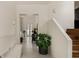 Bright foyer with natural light and a modern aesthetic, featuring a view of the outdoor greenery at 1150 Via Salerno, Winter Park, FL 32789