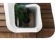 Top-down view of a plant inside a white planter on wood flooring at 1150 Via Salerno, Winter Park, FL 32789
