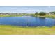 Scenic view of a large pond surrounded by lush greenery, enhancing the community's natural beauty and tranquil atmosphere at 3759 Crimson Clover Dr, Mount Dora, FL 32757
