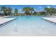 Resort-style community pool with inviting clear water, palm trees, and plenty of lounge chairs at 3759 Crimson Clover Dr, Mount Dora, FL 32757