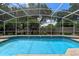 Sparkling blue pool with a screened enclosure and lush landscaping at 5102 Round Tree Ct, Orlando, FL 32819