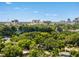 Panoramic city view surrounded by tree tops and blue skies at 528 Lanark Ct, Orlando, FL 32806