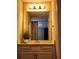 Bathroom vanity with decorative plant, a mirror, and cabinet storage at 813 Marsh Reed Dr, Winter Garden, FL 34787