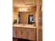 Bathroom vanity featuring decorative plants and large mirror for plenty of light at 813 Marsh Reed Dr, Winter Garden, FL 34787