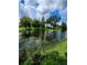 Community pond with algae, surrounded by lush greenery and mature trees, adding a natural element to the scenery at 813 Marsh Reed Dr, Winter Garden, FL 34787